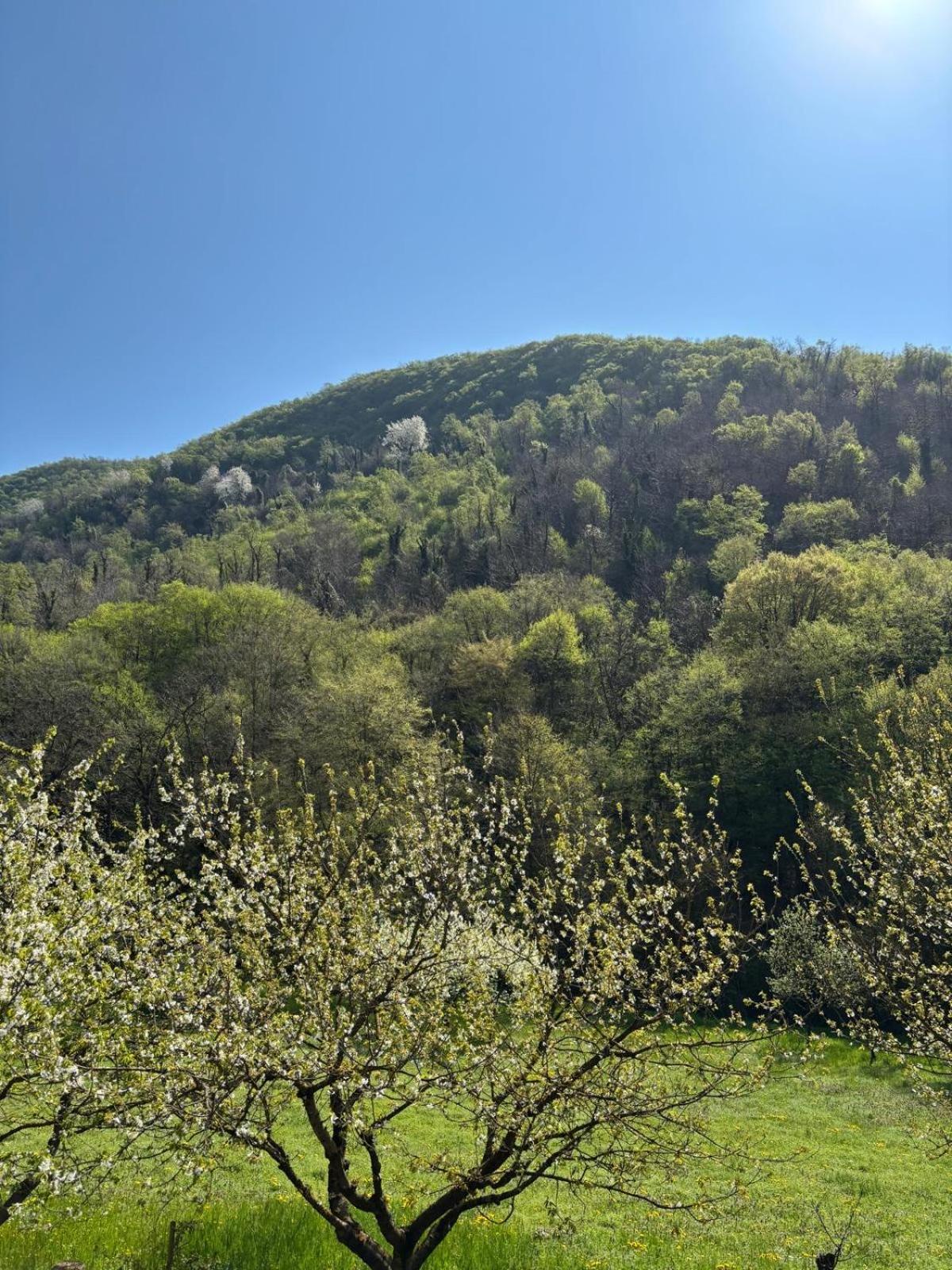 Biancogelso B&B Vegan Gardone Riviera Exterior foto