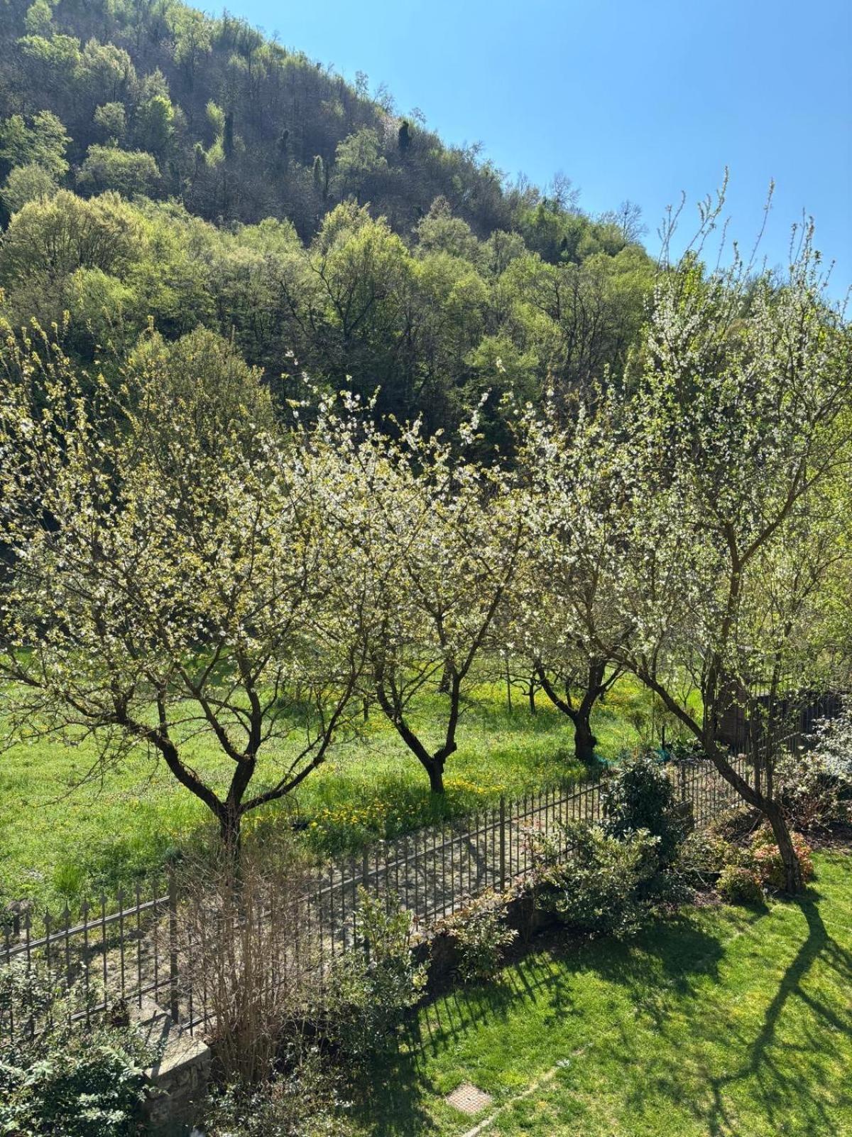Biancogelso B&B Vegan Gardone Riviera Exterior foto